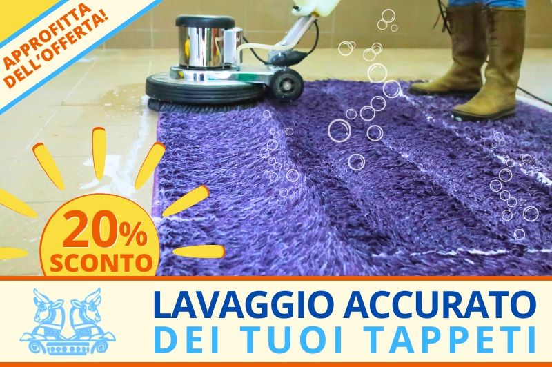 Lavaggio estivo tappeti - sconto 20%